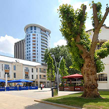 Kings Orchard Photo